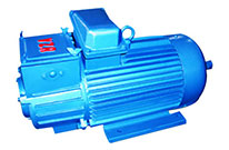 Crane motor