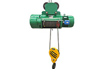 Electric Wire Rope Hoist